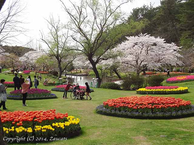 flowerpark41.jpg