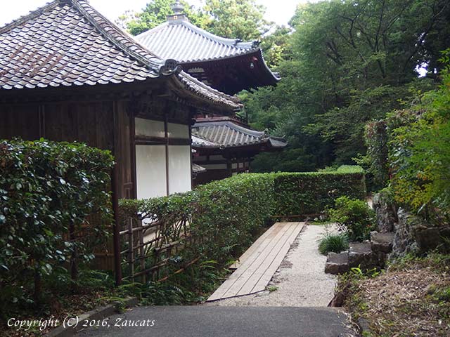 ryotanji11.jpg