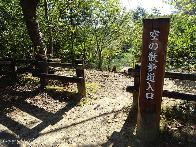 shinrin_park11.jpg