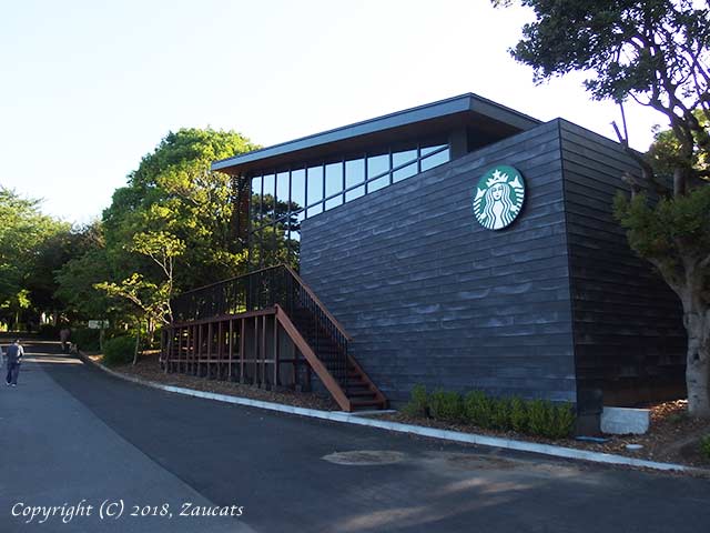 starbucks21.jpg