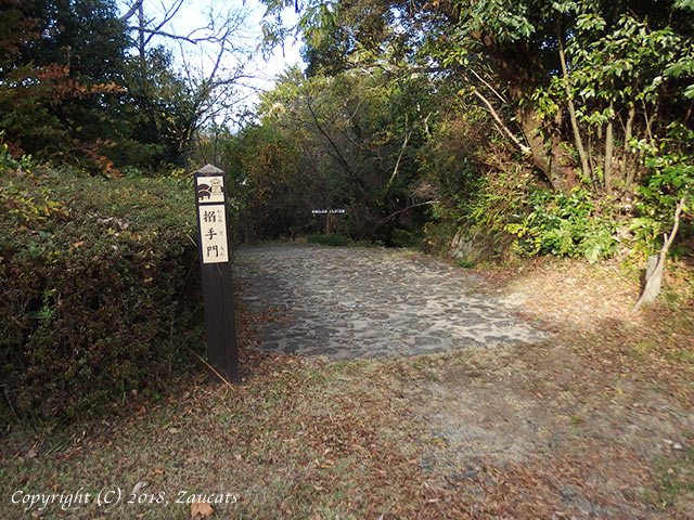 tobayama51.jpg