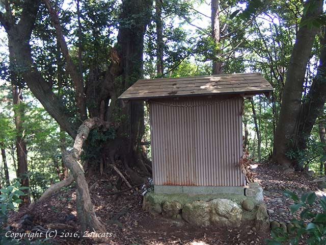 tsushima_small11.jpg