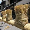 gion2-s.jpg