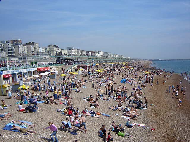 brighton11.jpg