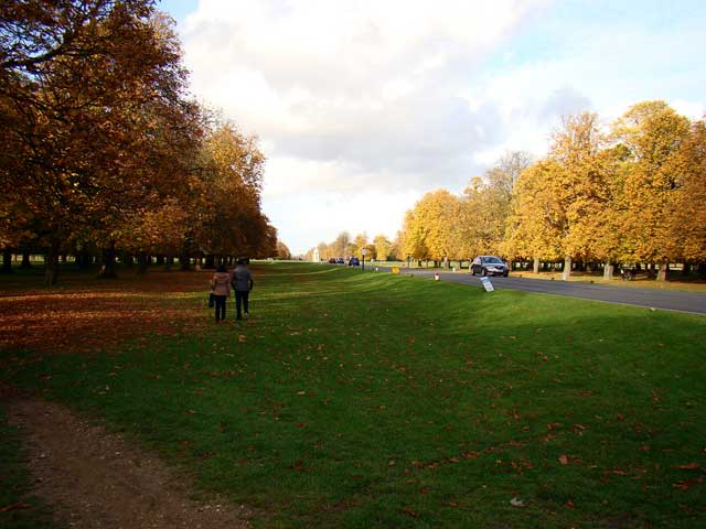 bushy_park1.jpg