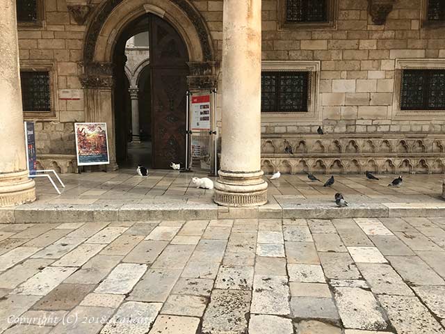 dubrovnik11.jpg