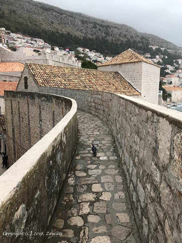 dubrovnik21.jpg