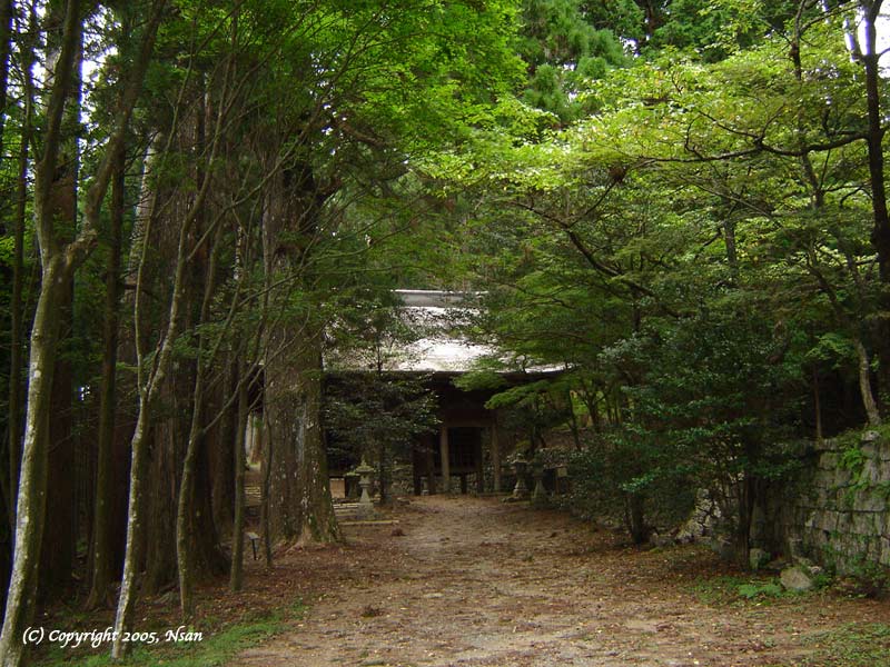 akihasugi05091.jpg