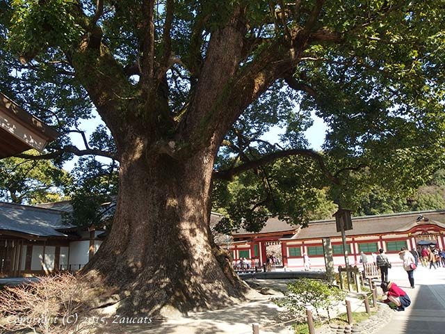 dazaifu11.jpg