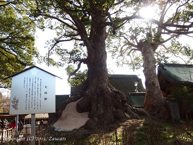 dazaifu11.jpg