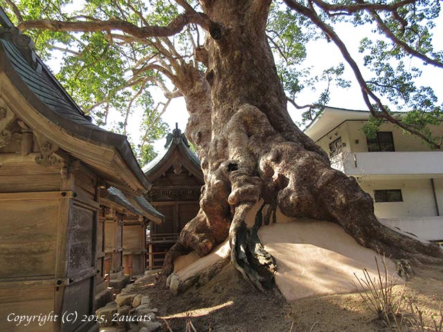 dazaifu11.jpg