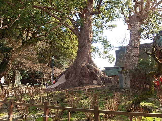 dazaifu11.jpg