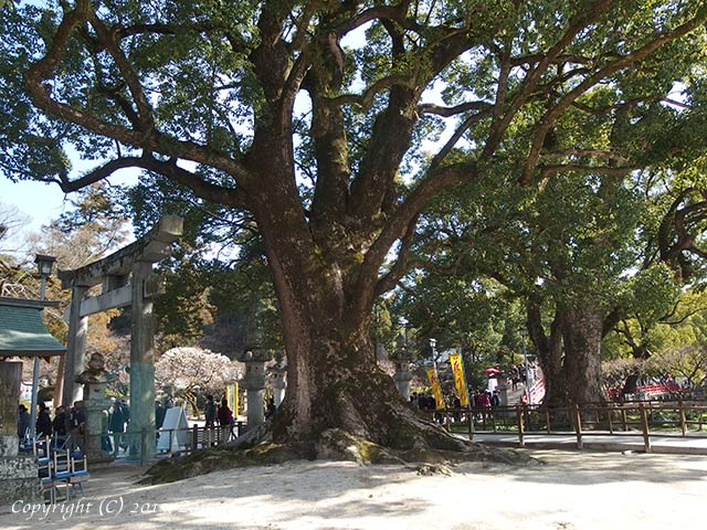 dazaifu11.jpg