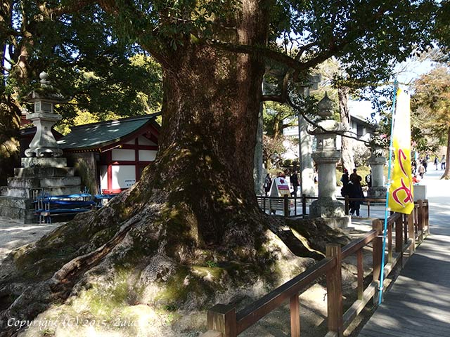 dazaifu11.jpg