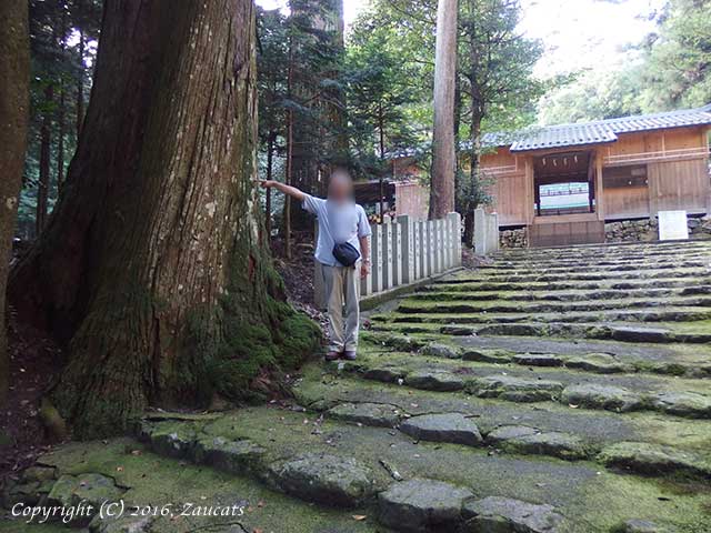 ebumi_shrine11.jpg