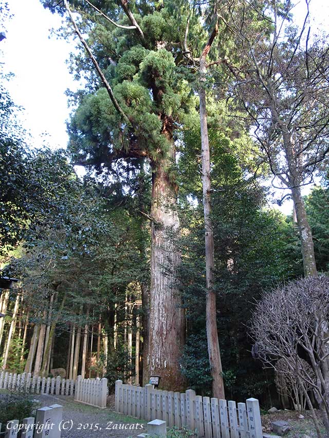 ebumi_shrine11.jpg