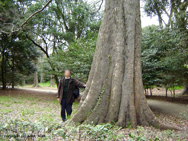 gyoen06045.jpg