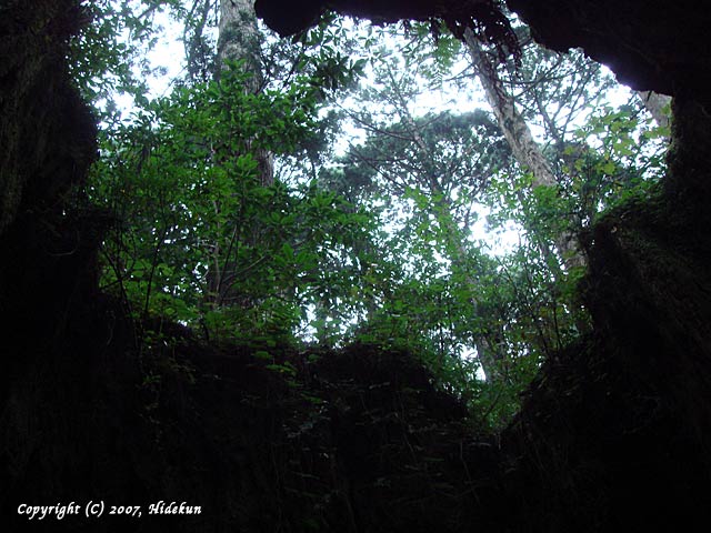 yakushima22.jpg