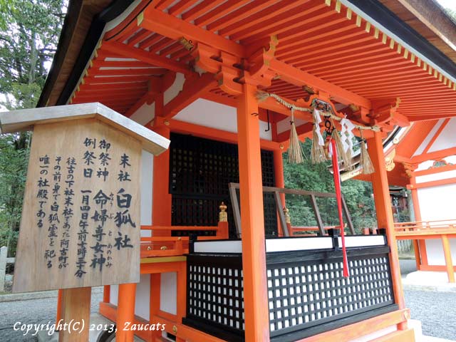 fushimiinari31.jpg