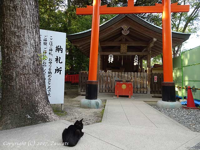 fushimiinari41.jpg