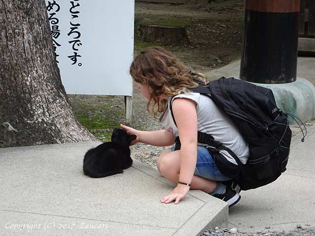 fushimiinari41.jpg