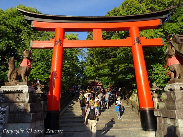 fushimiinari51.jpg