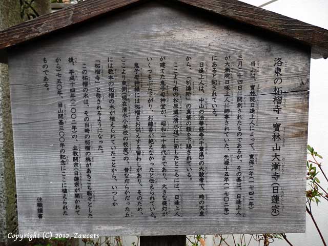 daizenji11.jpg