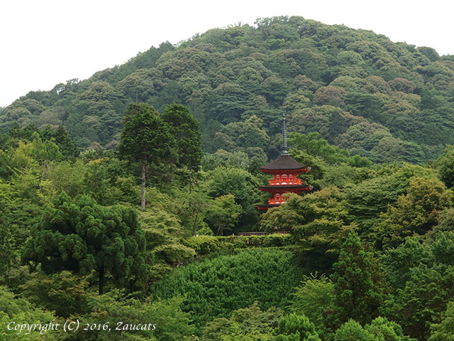 kiyomizu121.jpg