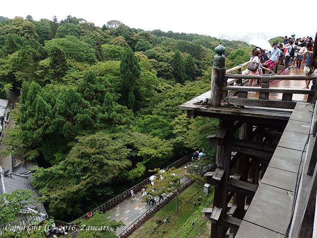 kiyomizu121.jpg