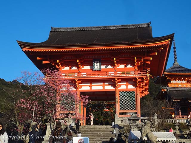 kiyomizu131.jpg