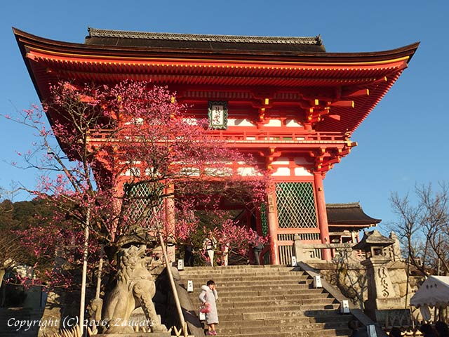 kiyomizu131.jpg