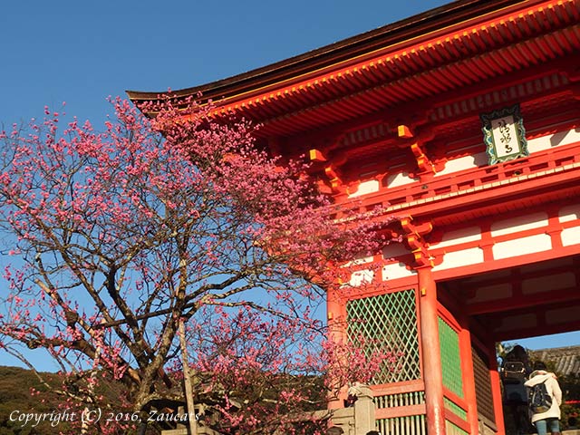 kiyomizu131.jpg