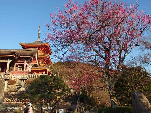 kiyomizu131.jpg