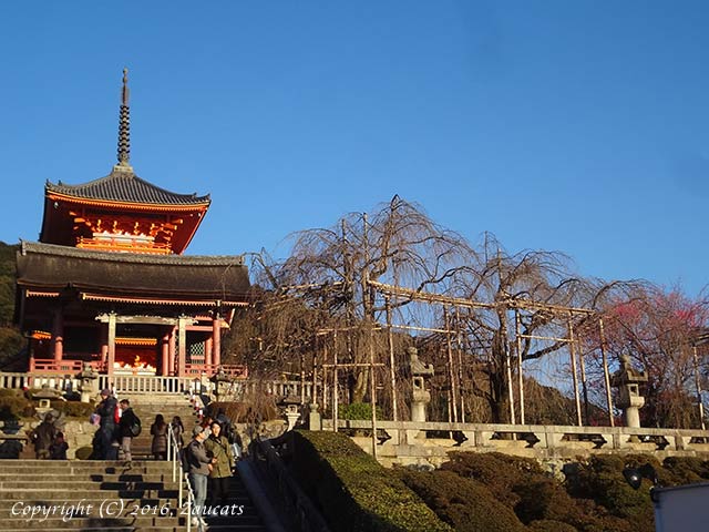 kiyomizu131.jpg