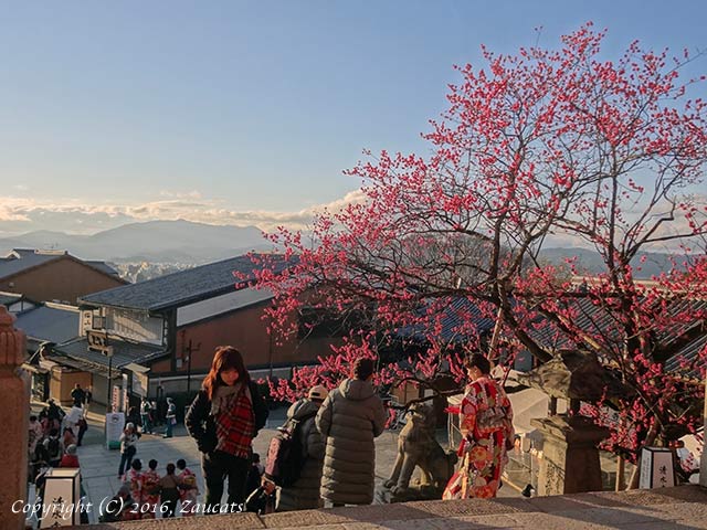 kiyomizu131.jpg