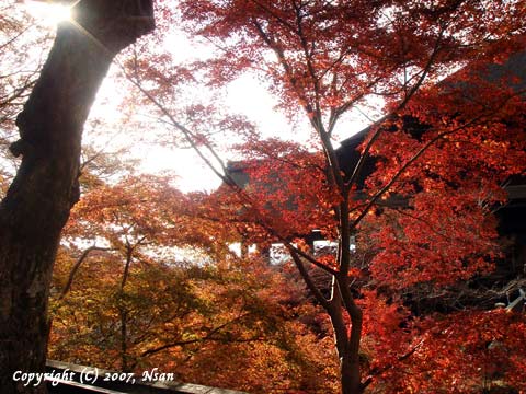 kiyomizu