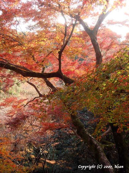 kiyomizu