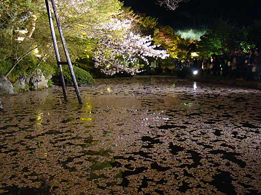 kiyomizu