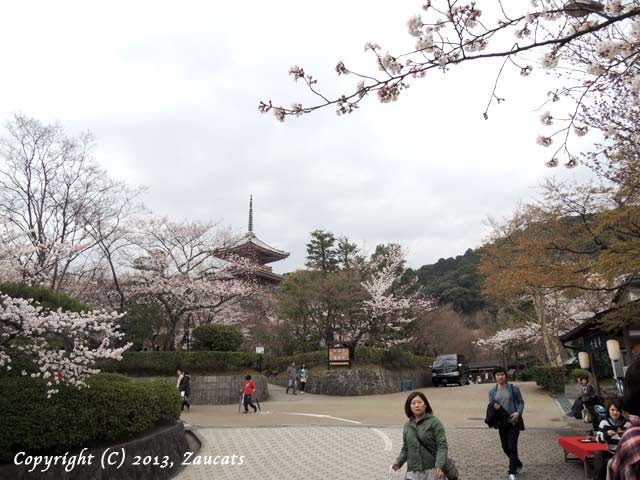 kiyomizu51.jpg