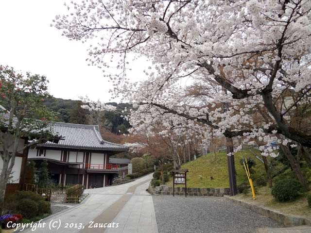 kiyomizu51.jpg