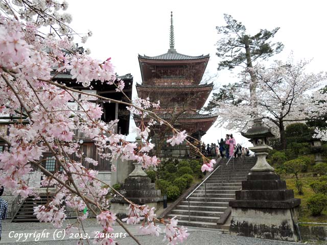 kiyomizu51.jpg