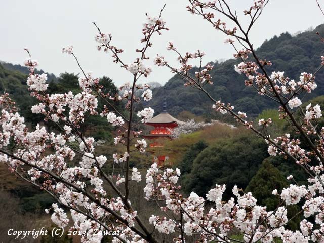 kiyomizu51.jpg