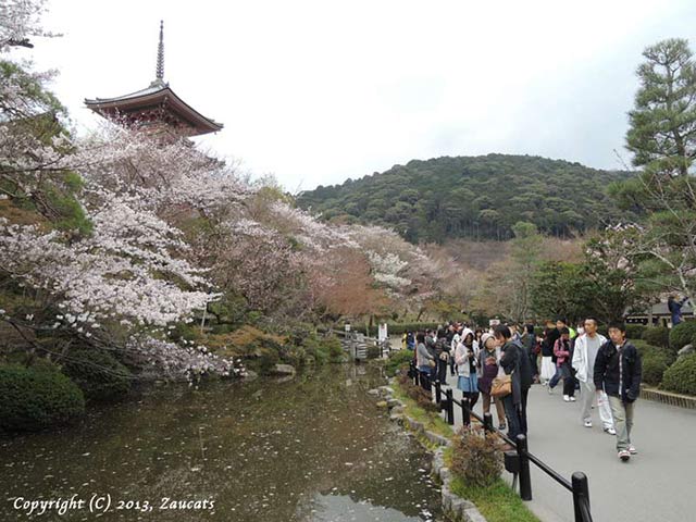 kiyomizu51.jpg