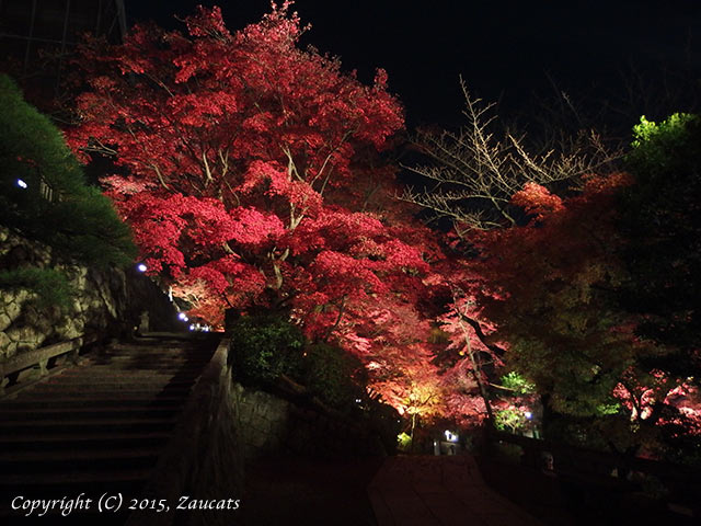 kiyomizu61.jpg