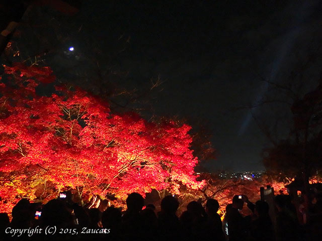 kiyomizu61.jpg