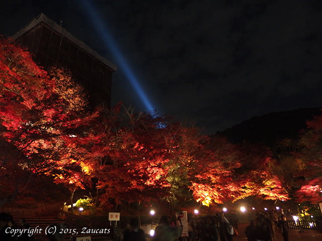 kiyomizu61.jpg