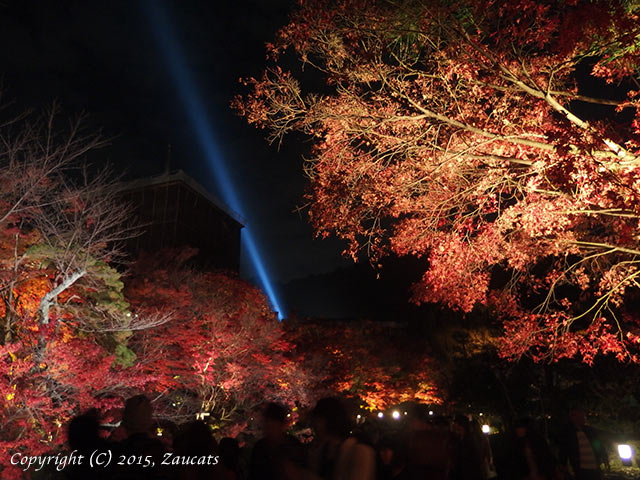 kiyomizu61.jpg