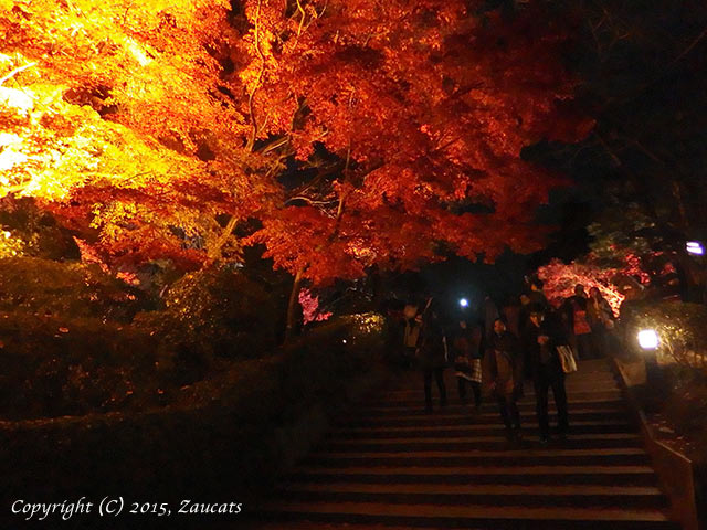 kiyomizu61.jpg