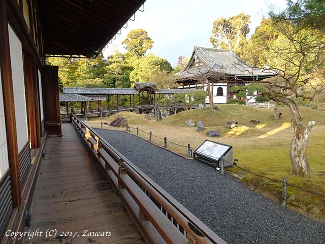 kodaiji61.jpg