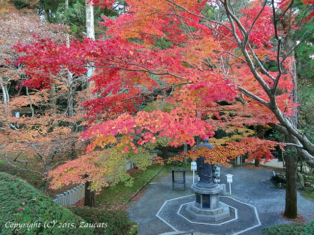 imakumano31.jpg